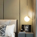 Nordic Style Single Globe Pendant Light
