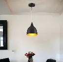 Metal Pendant Light with Dome Lamp Shade- Black